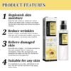Snail Collagen Repair Moisturizing Essence